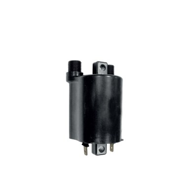 IGNITION COIL 12V : Honda XL 650 V Transalp RD11 02-07 (H7-M7000899-RD11)