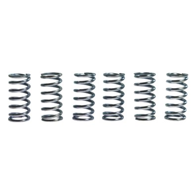 CLUTCH SPRING KIT (6) TRW/LUCAS