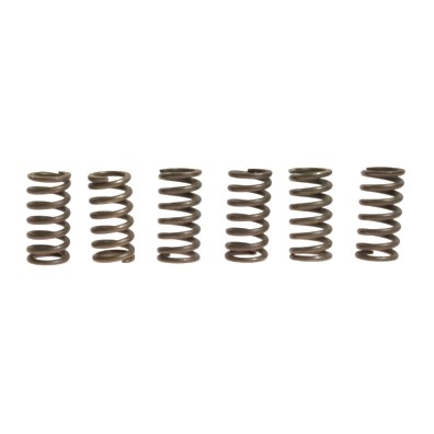 CLUTCH SPRING KIT (6) EBC : Honda XL 700 VA Transalp ABS RD13ABS 08-10 (H7-M7459076-RD13ABS)