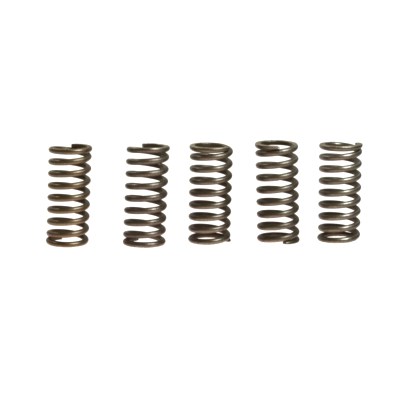 CLUTCH SPRING KIT (5) EBC : Honda XL 600 V Transalp PD10 97-00 (H7-M7459225-PD10)