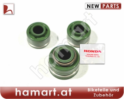 Ventilschaft Abdichtungen Satz Honda XL 600 V Transalp PD10 1997-2000