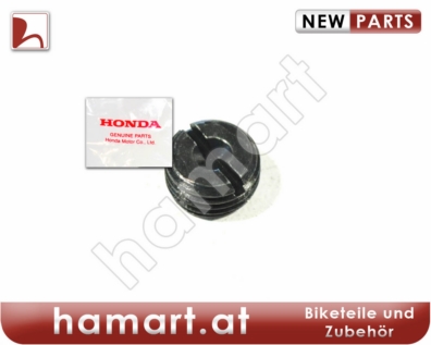 Bremse Verschlußkappe 45203-MG3-016 Honda XL 650 V Transalp RD11 2002-2007