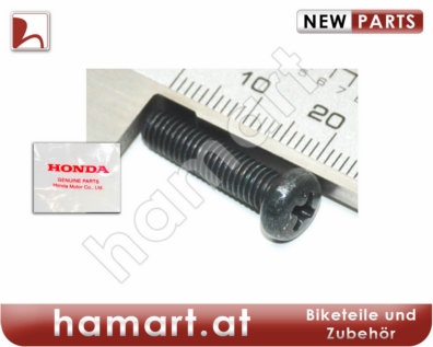 Griff Schalter Schraube 5x20mm Honda XL 600 V Transalp PD06 1987-1996