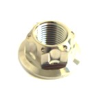 Mutter Achse Pro Bolt M16X1.50 mm 22 mm Edelstahl V4A hinten : Honda XL 650 V Transalp RD11 02-07 (H7-M7758213-RD11)